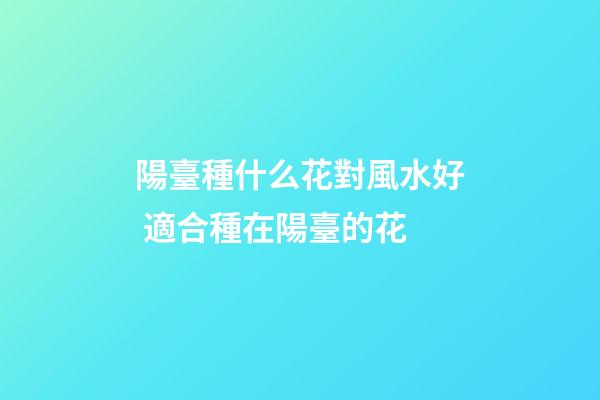 陽臺種什么花對風水好 適合種在陽臺的花